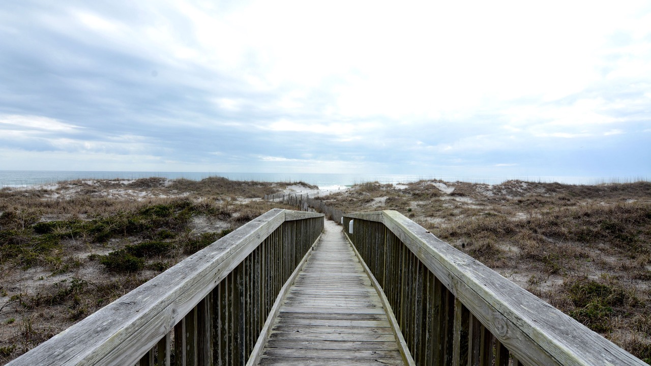 Photo of Others in Shell Island