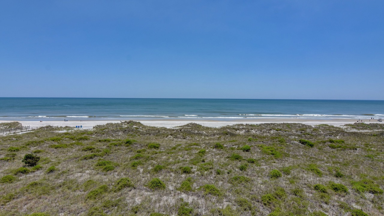 Photo of Others in Shell Island