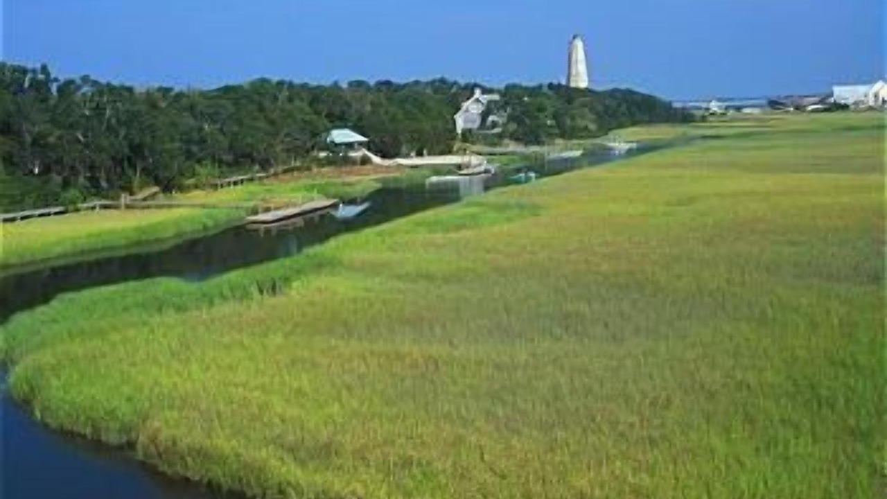 Photo of Others in Bald Head Island