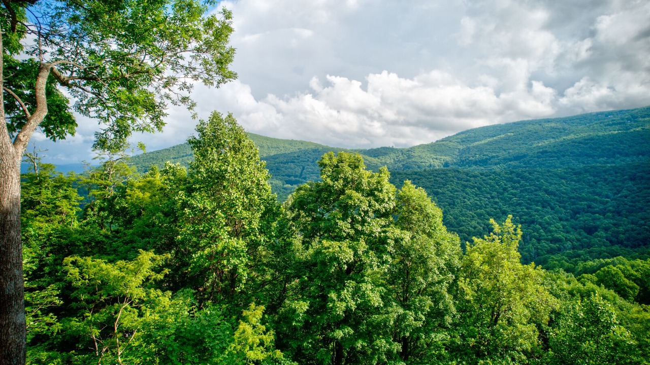 Photo of Others in Boone