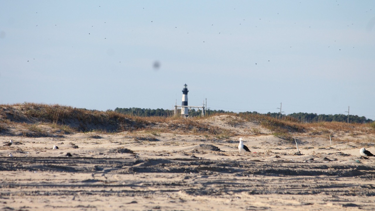 Photo of Others in South Nags Head
