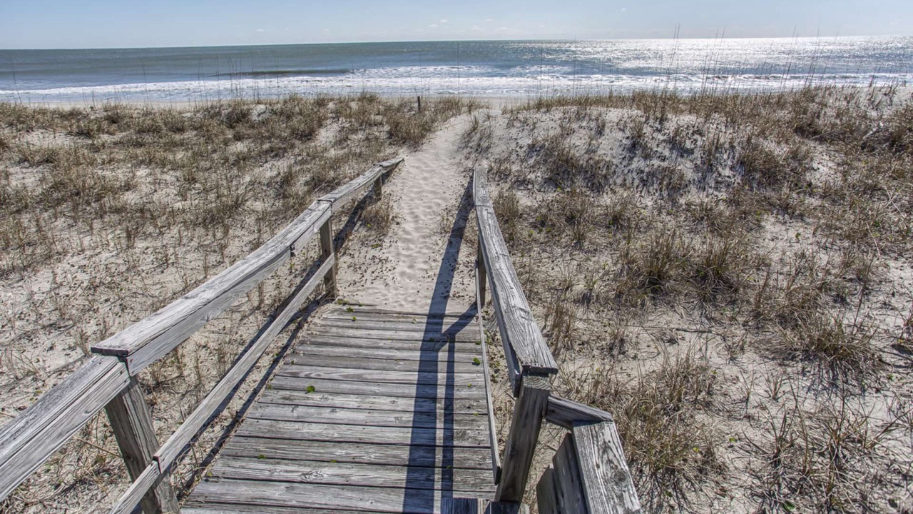 Photo of Others in North Carolina Coast