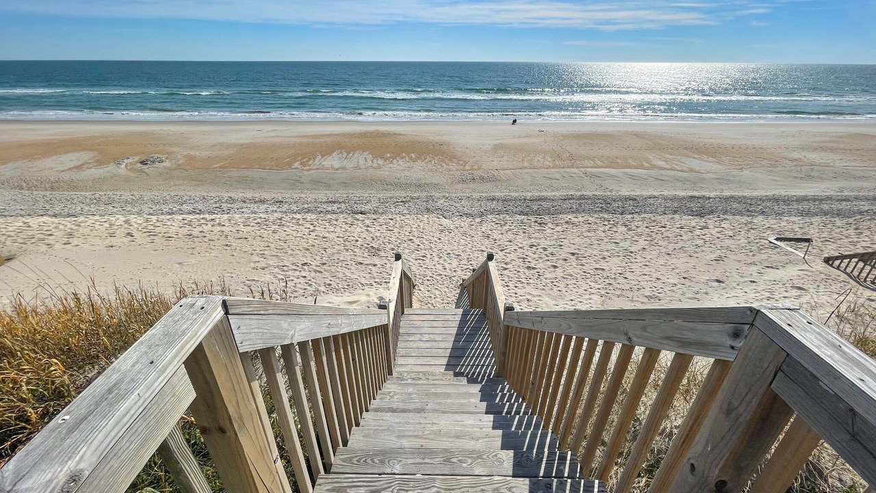 Photo of Others in Surf City