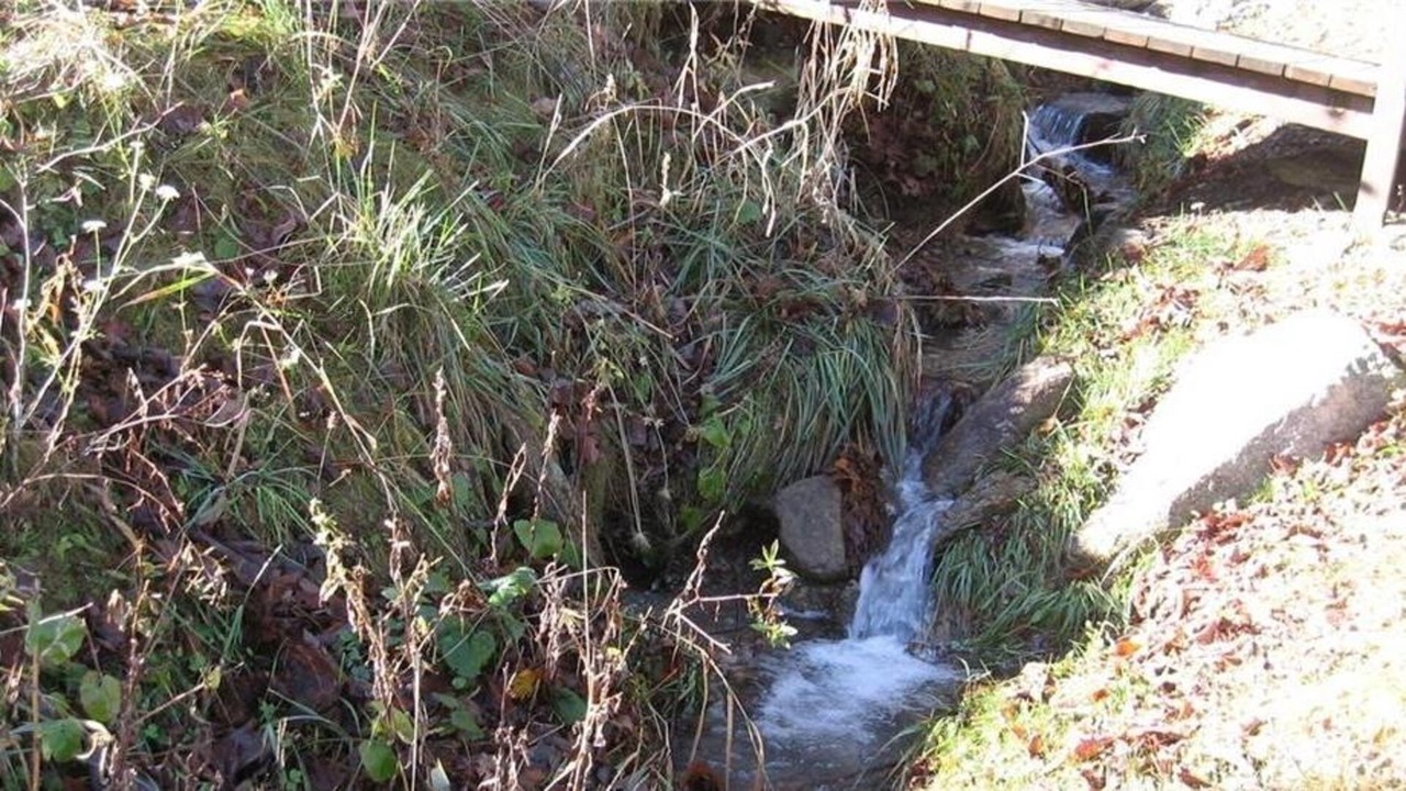 Photo of Outdoor in Beech Mountain