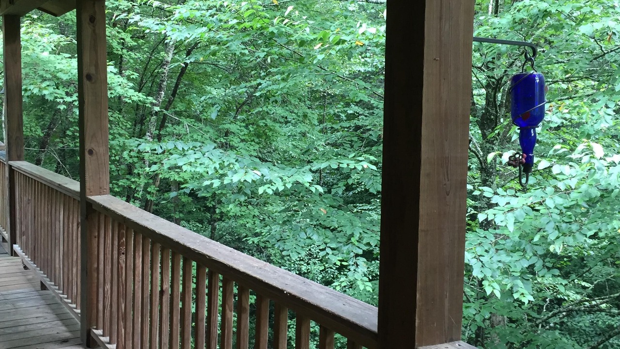 Photo of Outdoor in Tarheel
