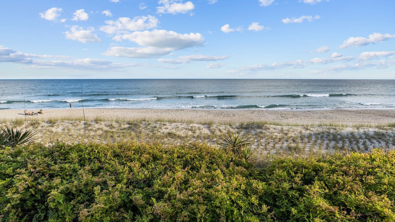 Photo of Others in Indian Beach