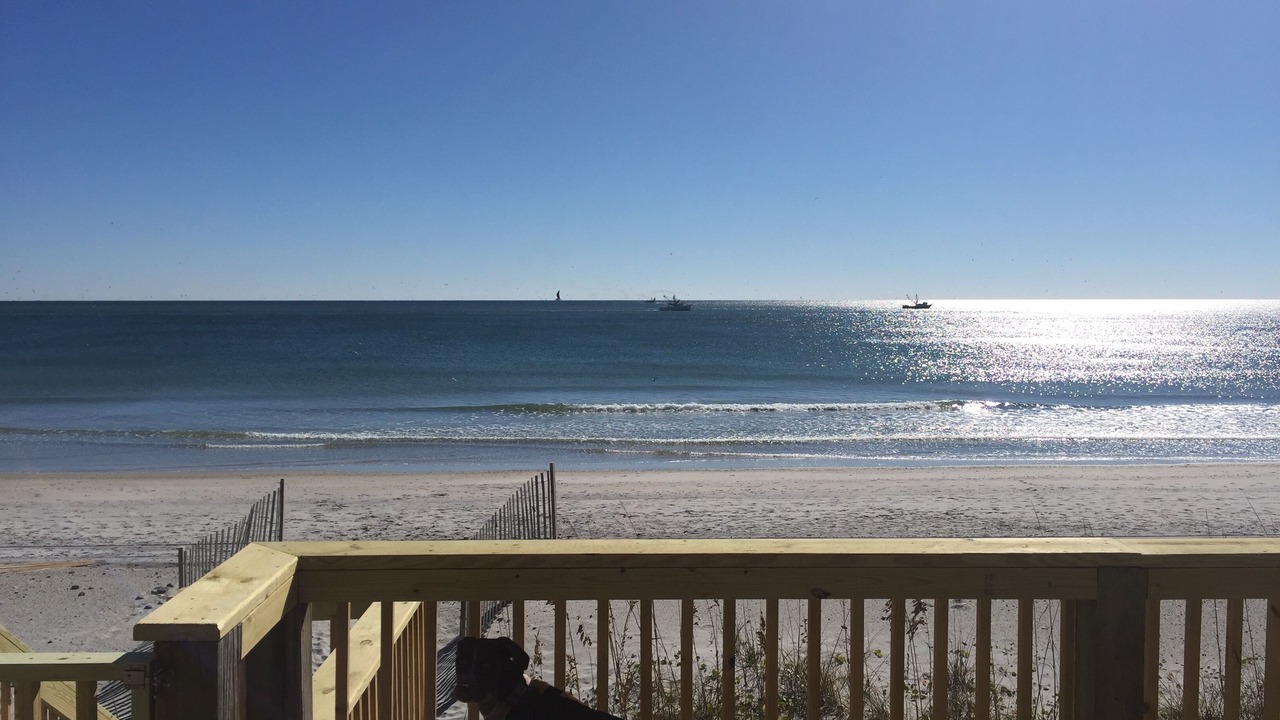 Photo of Others in Ocean City Beach