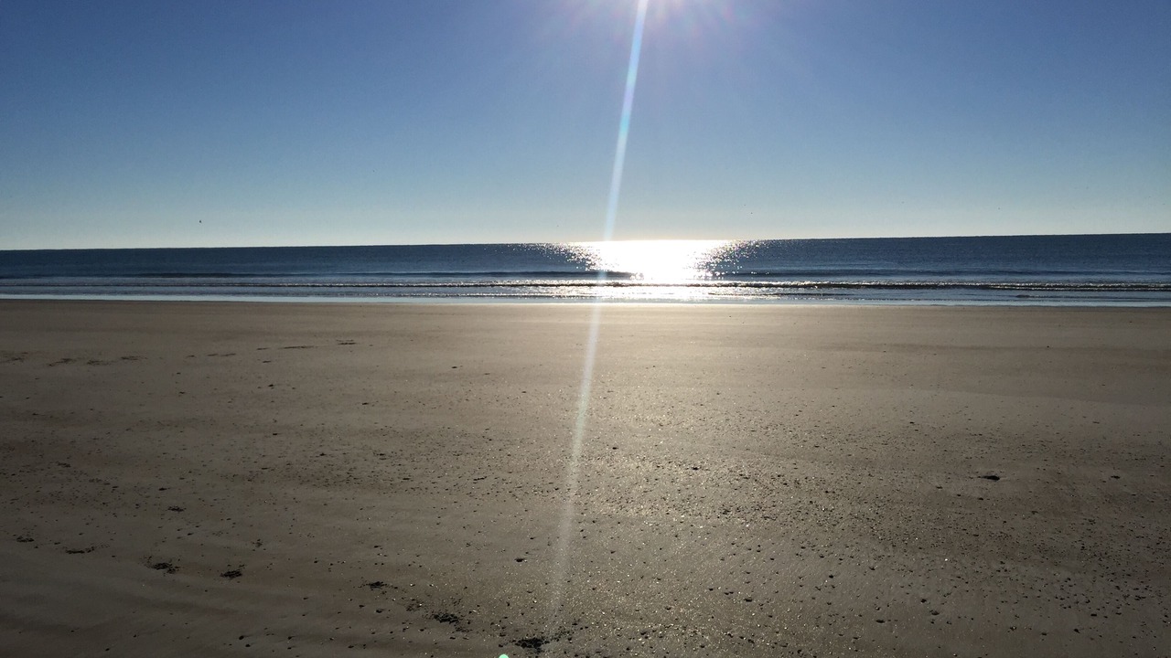 Photo of Others in Ocean City Beach