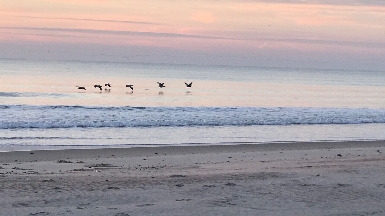 Photo of Others in Ocean City Beach