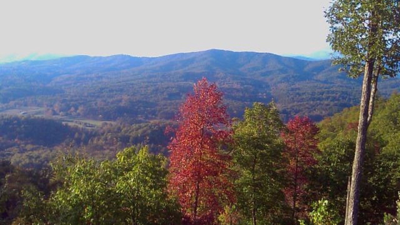 Photo of Others in Brasstown