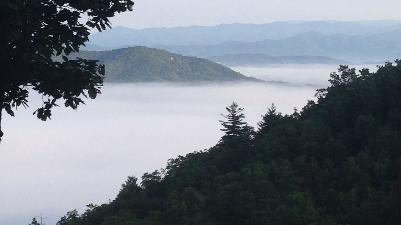 Photo of Others in Brasstown
