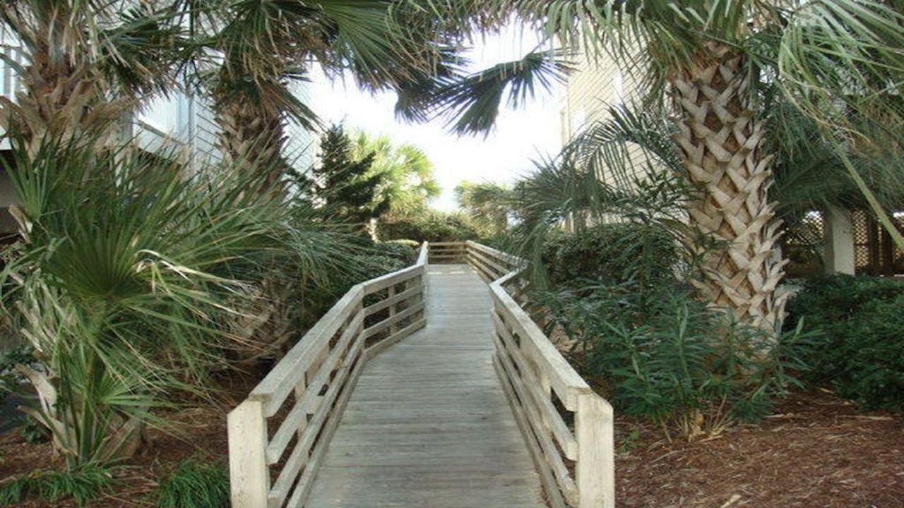 Photo of Others in Indian Beach