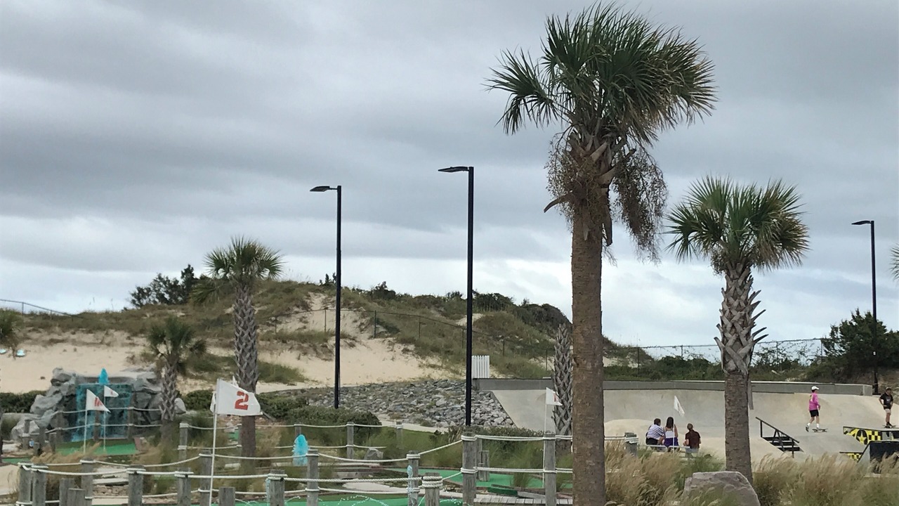 Photo of Others in Indian Beach