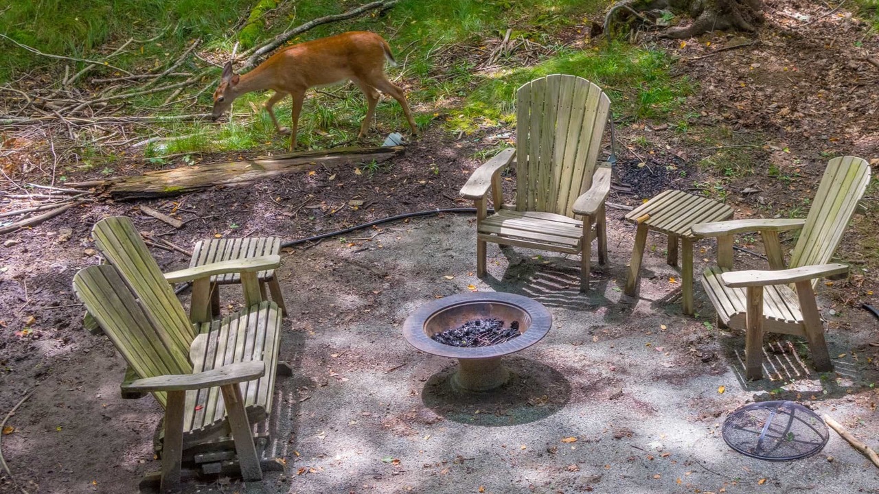 Photo of Outdoor in Charter Hills