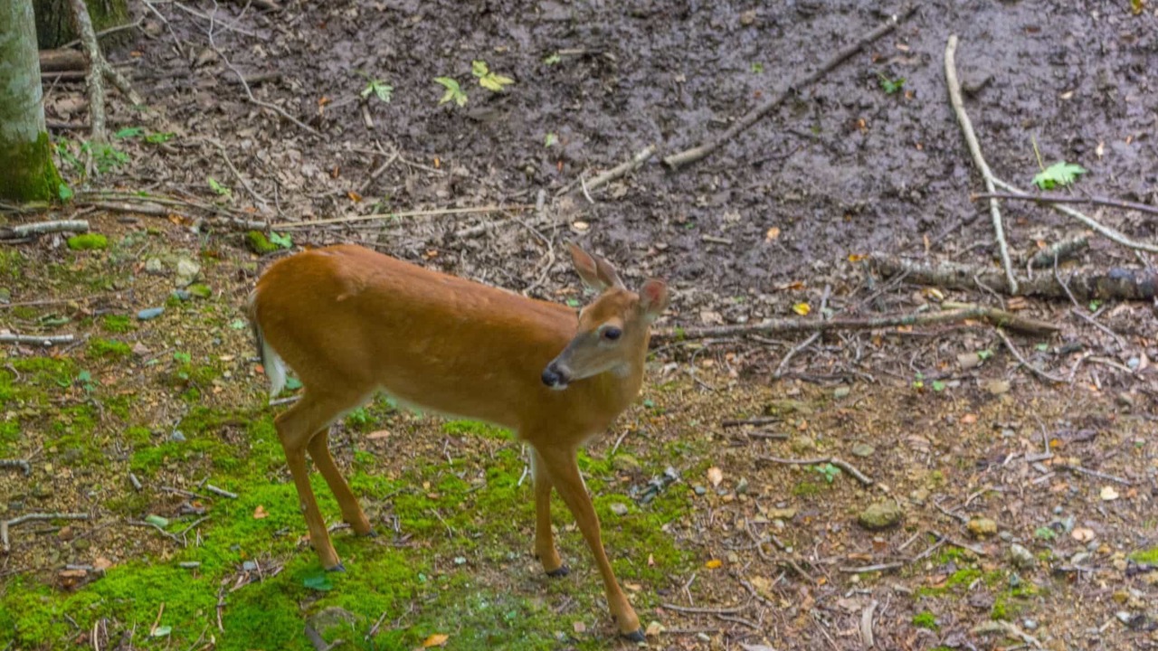 Photo of Others in Charter Hills