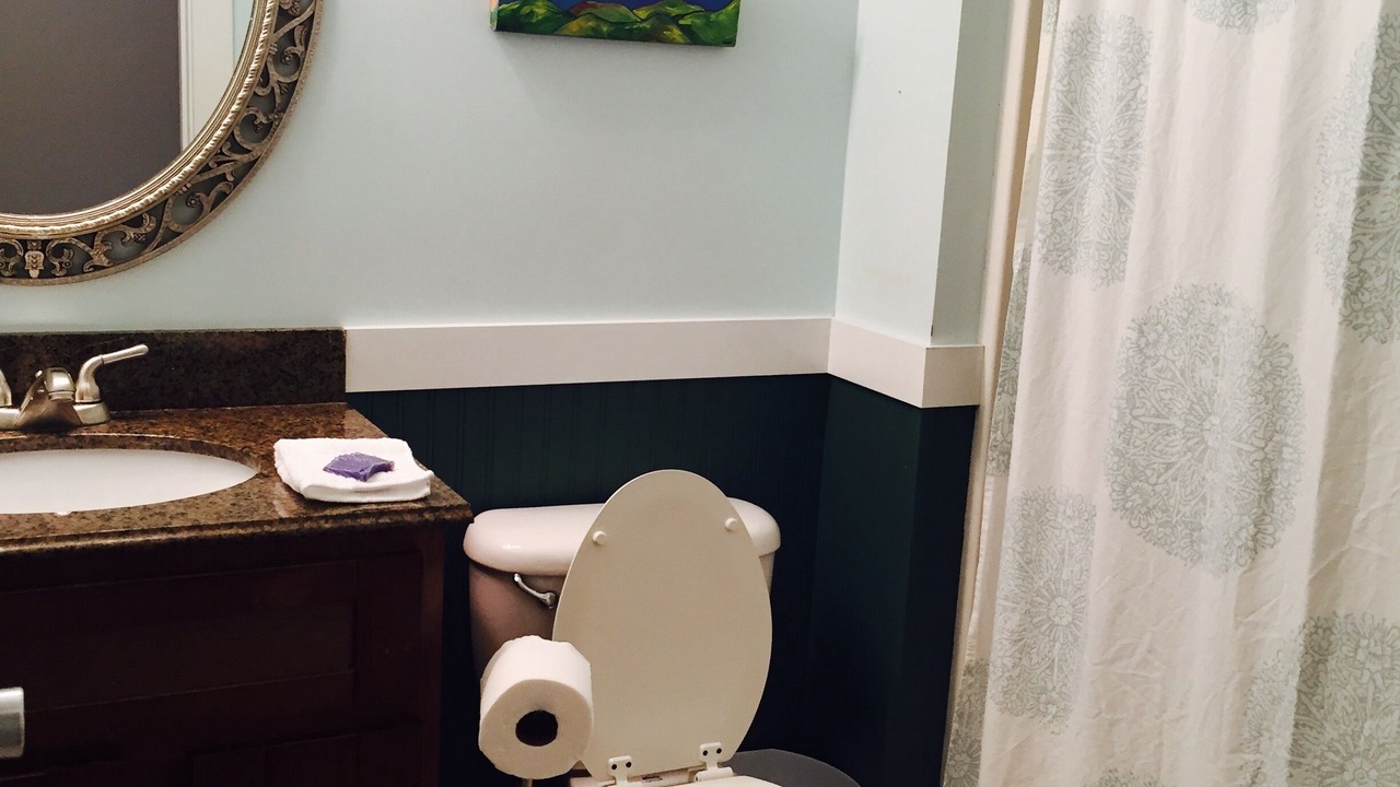 Photo of Bathroom in Woodfin