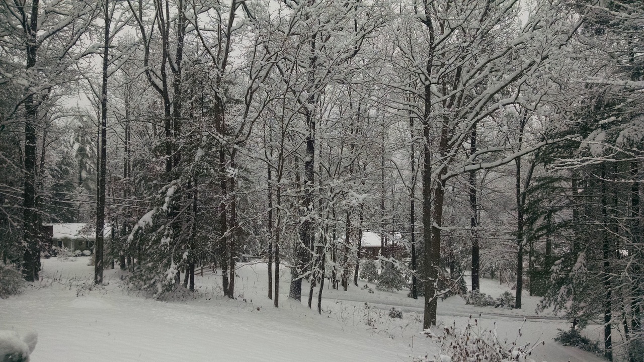 Photo of Others in Hendersonville