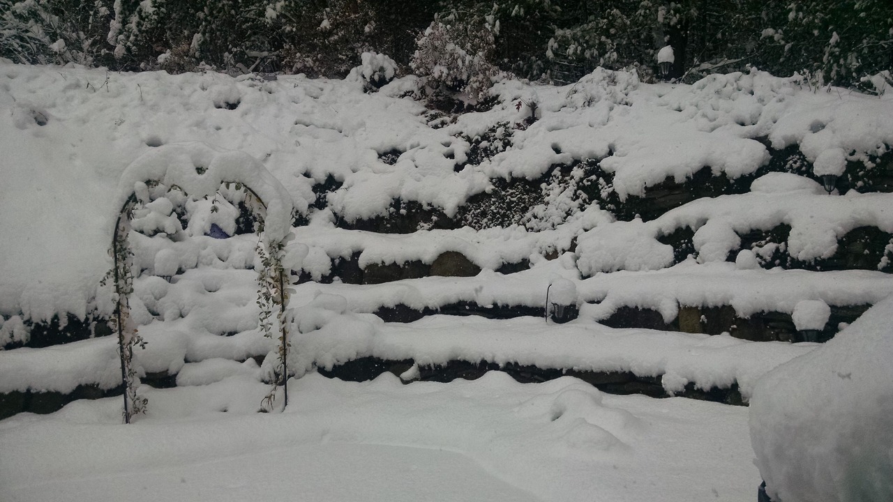 Photo of Outdoor in Hendersonville