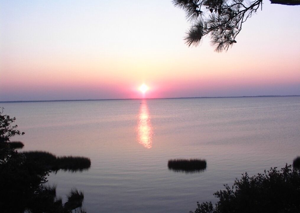 Photo of Others in Corolla Light