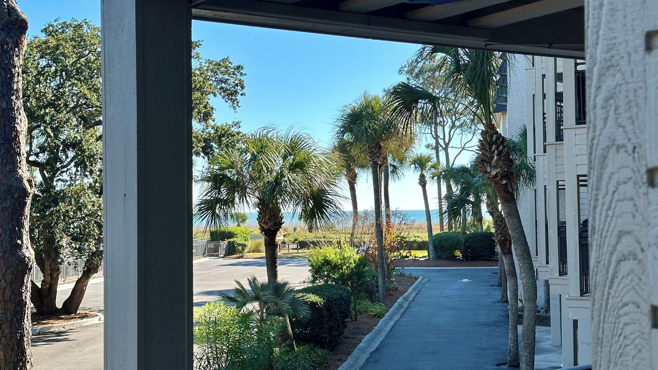 Photo of Outdoor in Hilton Head Island