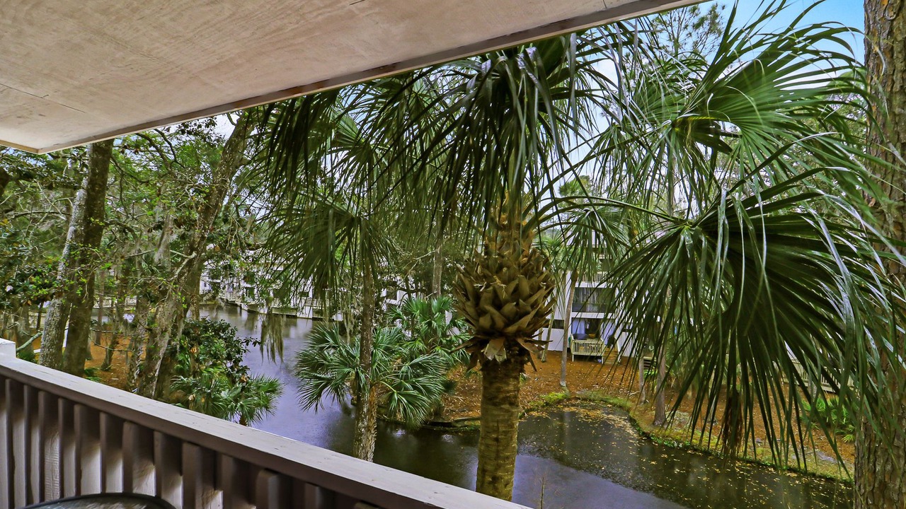 Photo of Outdoor in Hilton Head Island