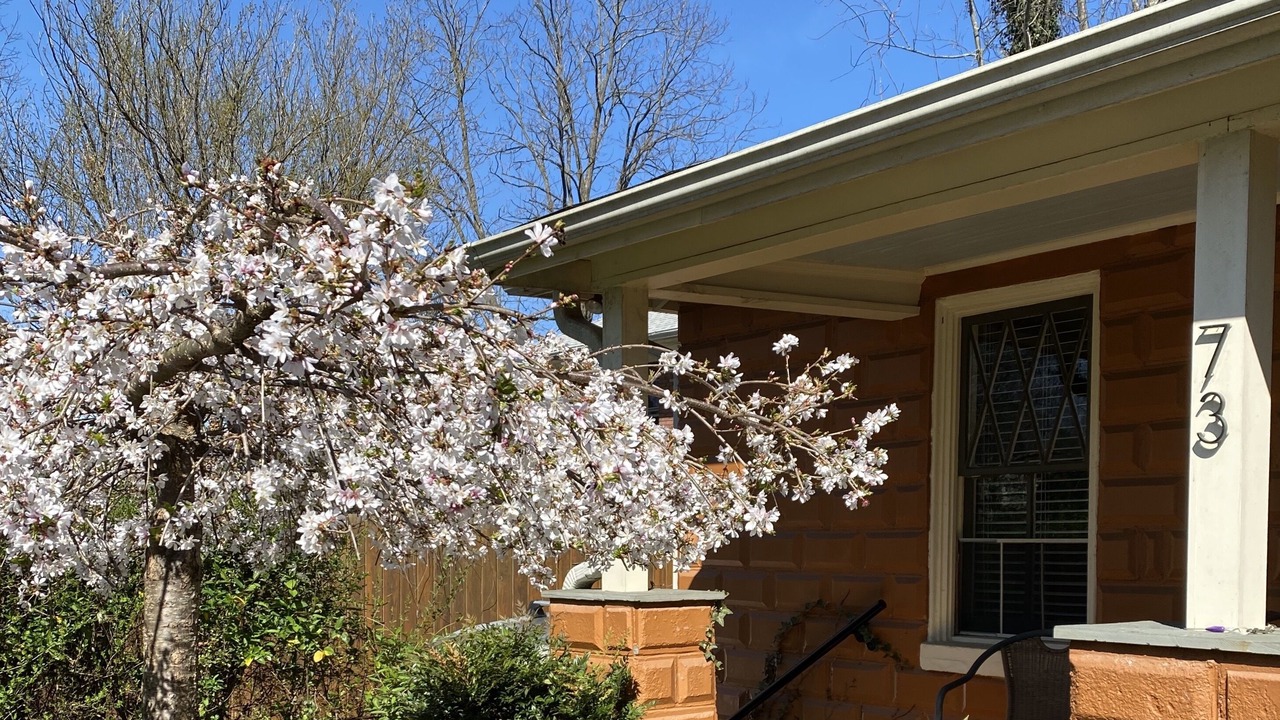 Photo of Outdoor in Chestnut Hills