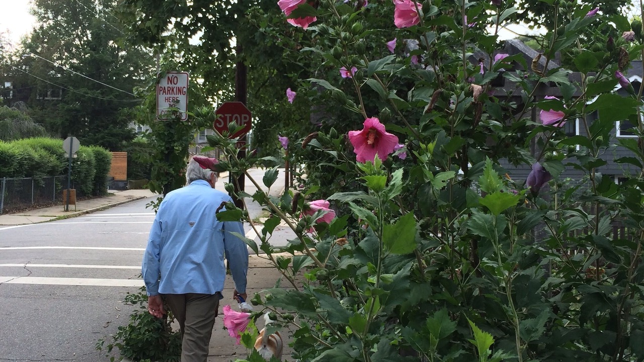 Photo of Others in Chestnut Hills