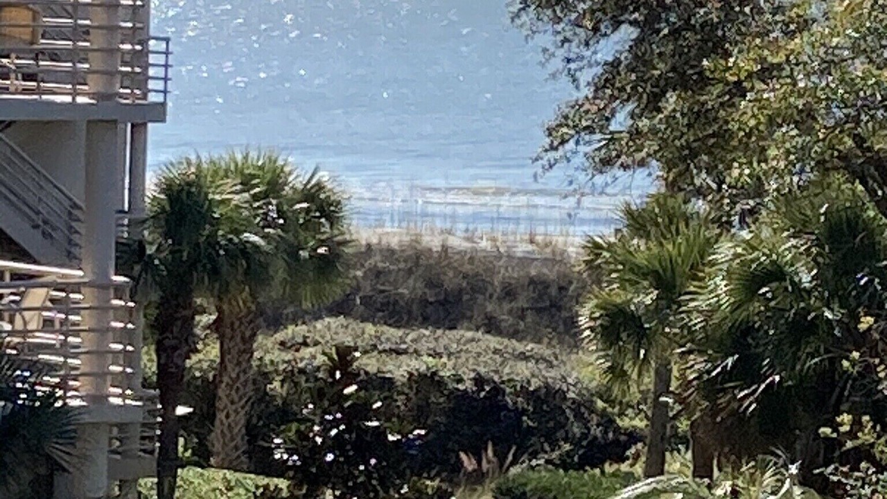 Photo of Others in Palmetto Dunes