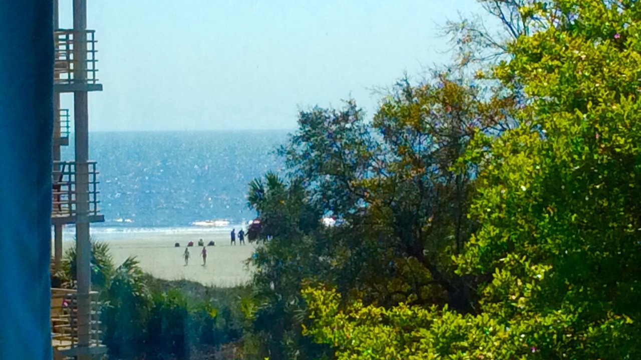 Photo of Others in Palmetto Dunes
