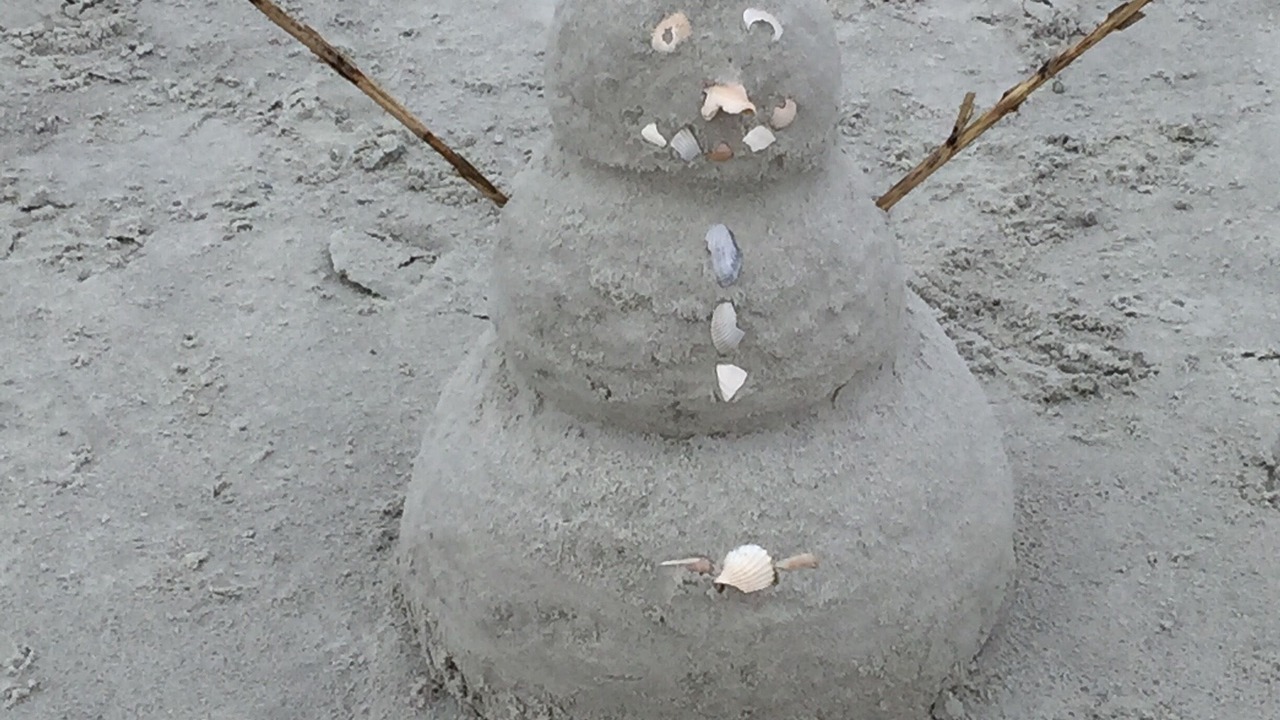Photo of Others in Palmetto Dunes