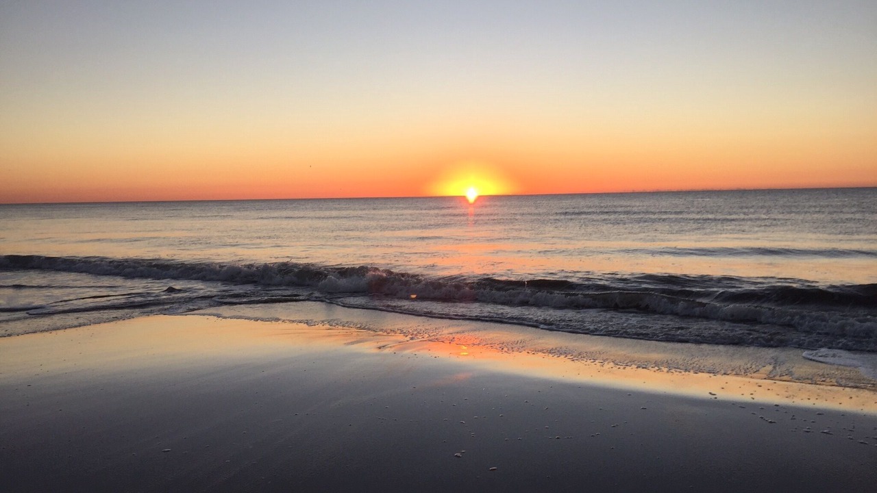 Photo of Others in Palmetto Dunes