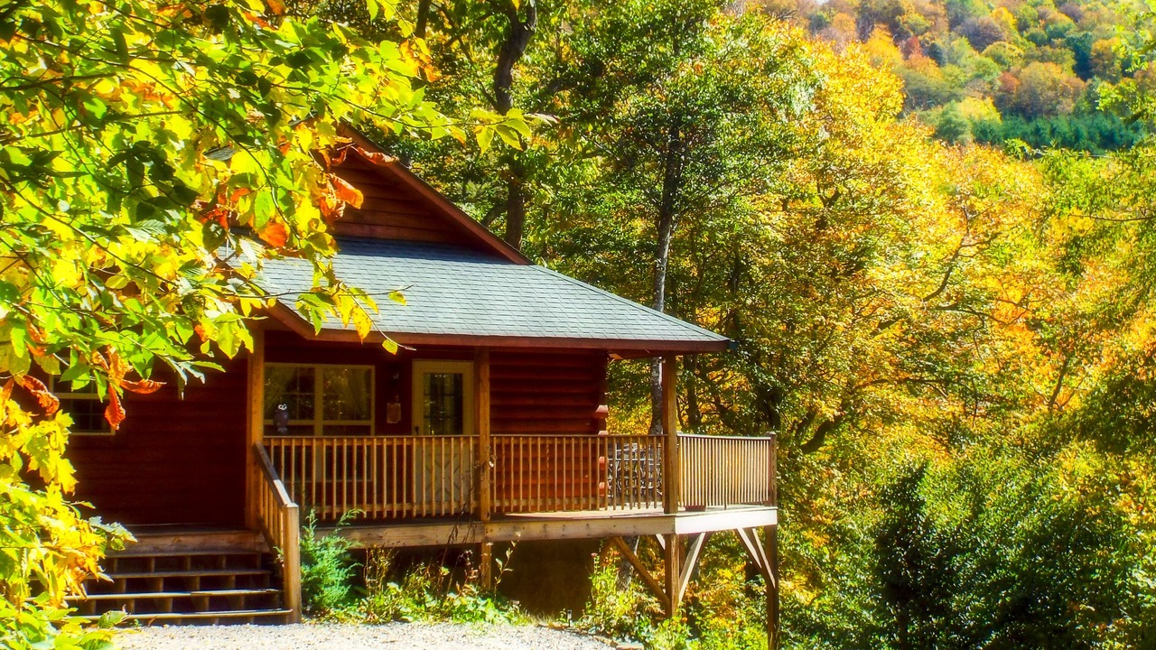 Photo of Outdoor in Zionville