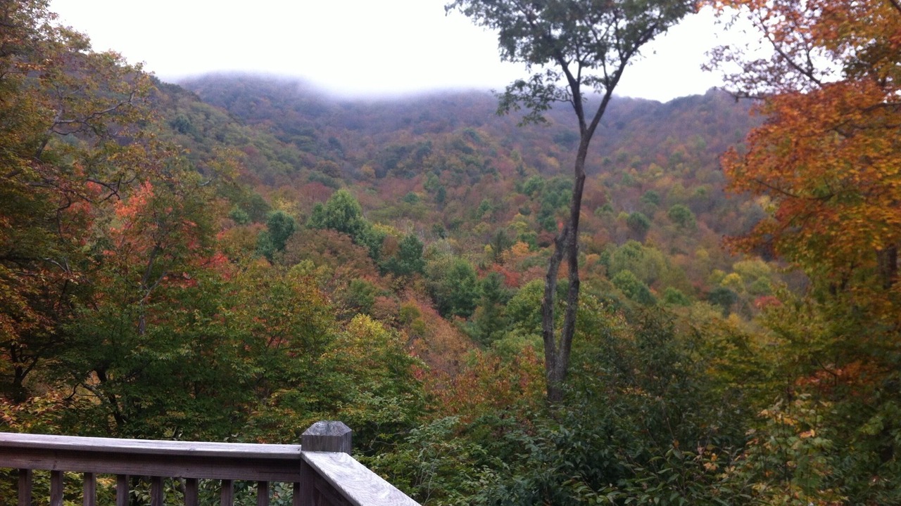 Photo of Outdoor in Zionville