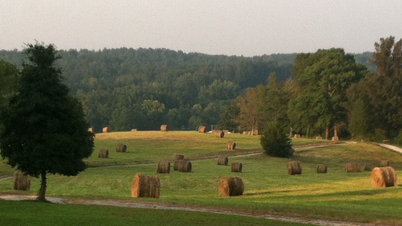 Photo of Others in Nebo