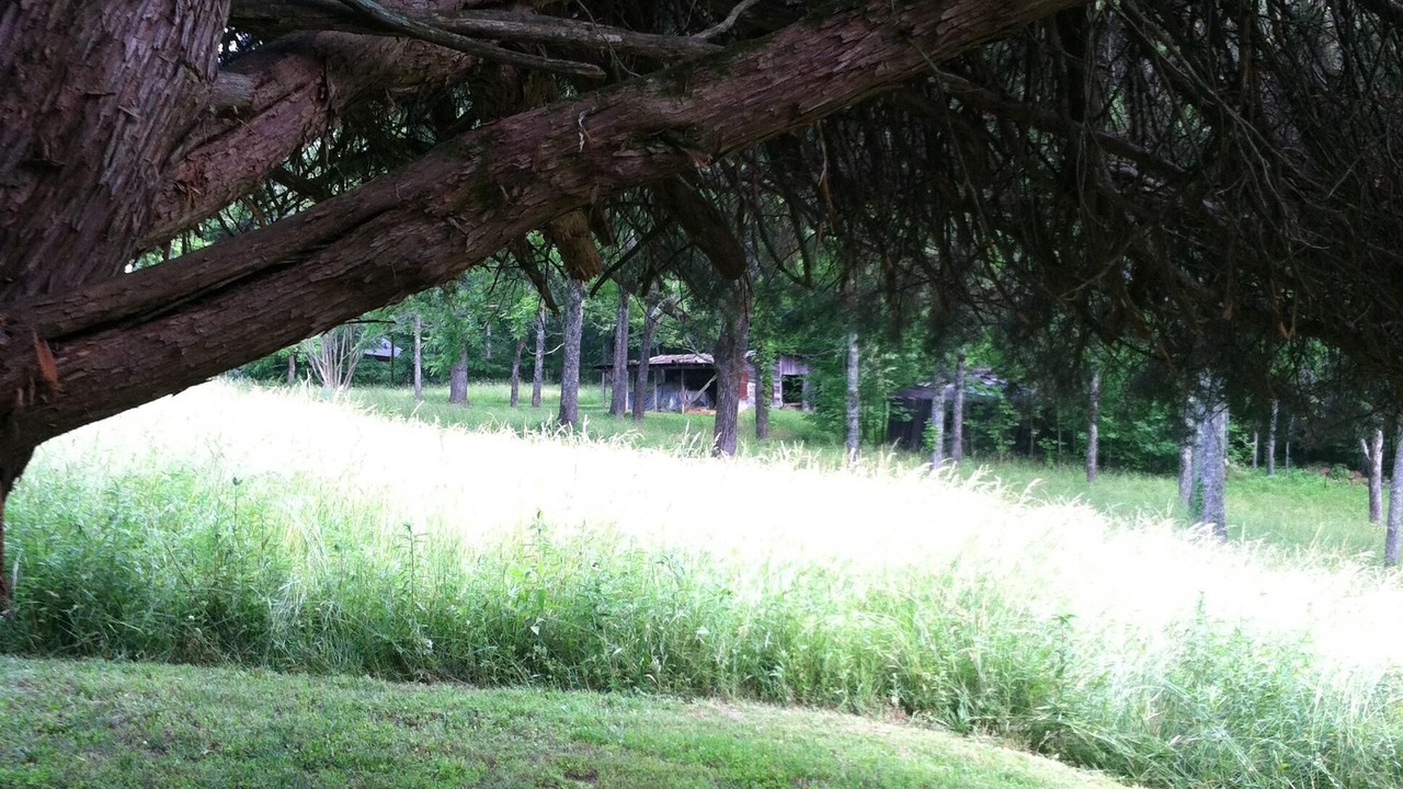 Photo of Outdoor in Nebo