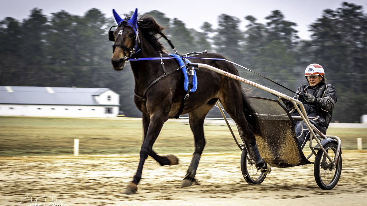 Photo of Others in Pinehurst