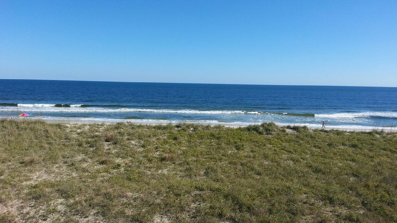 Photo of Others in North Carolina Coast