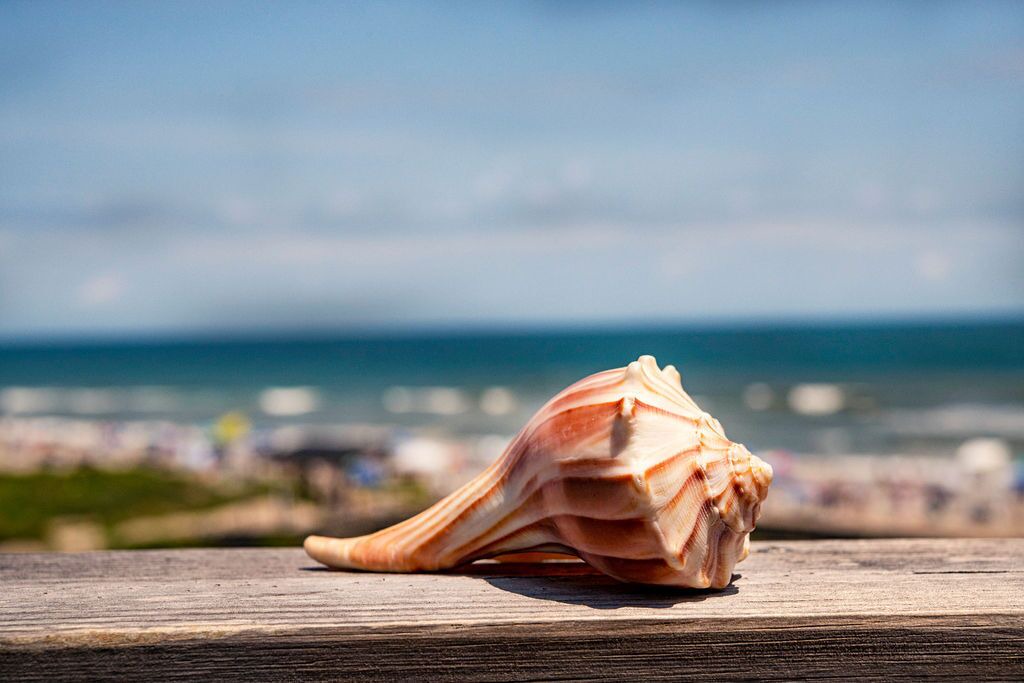 Photo of Others in Emerald Isle