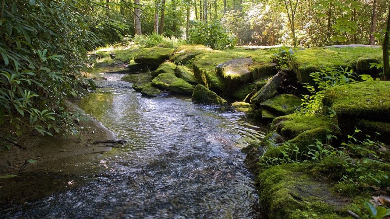 Photo of Outdoor in Brevard