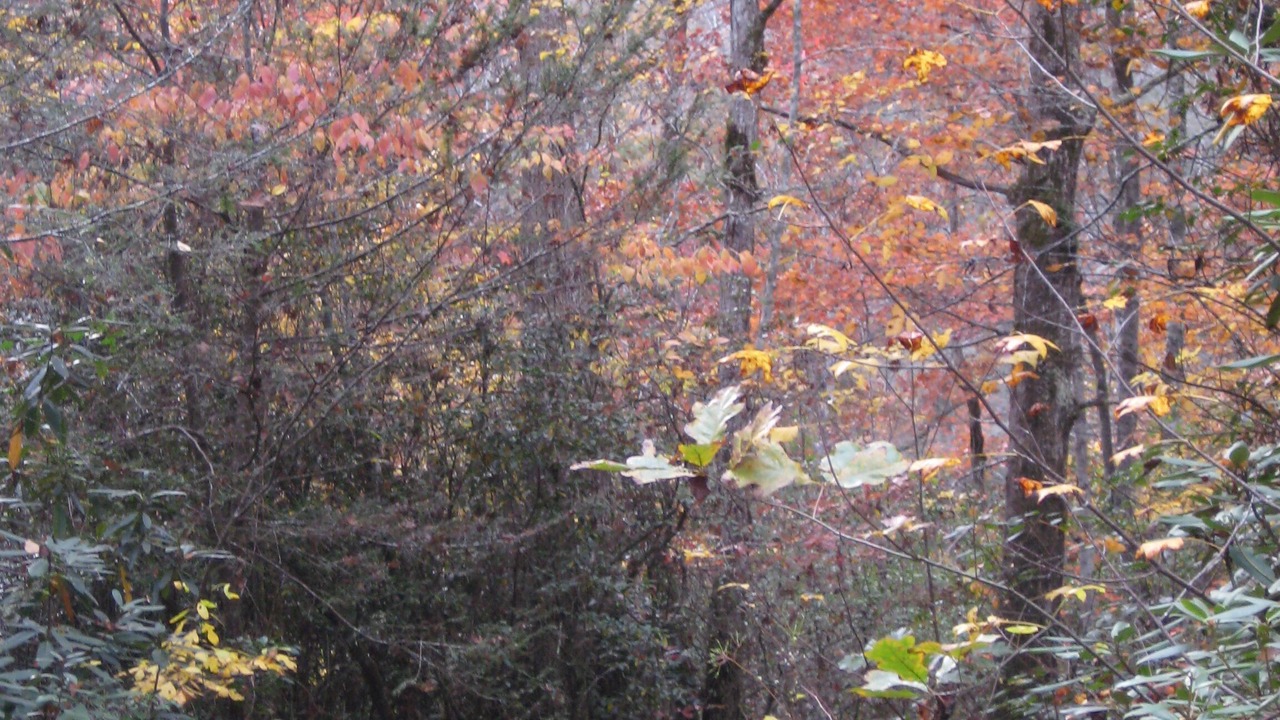Photo of Outdoor in Almond