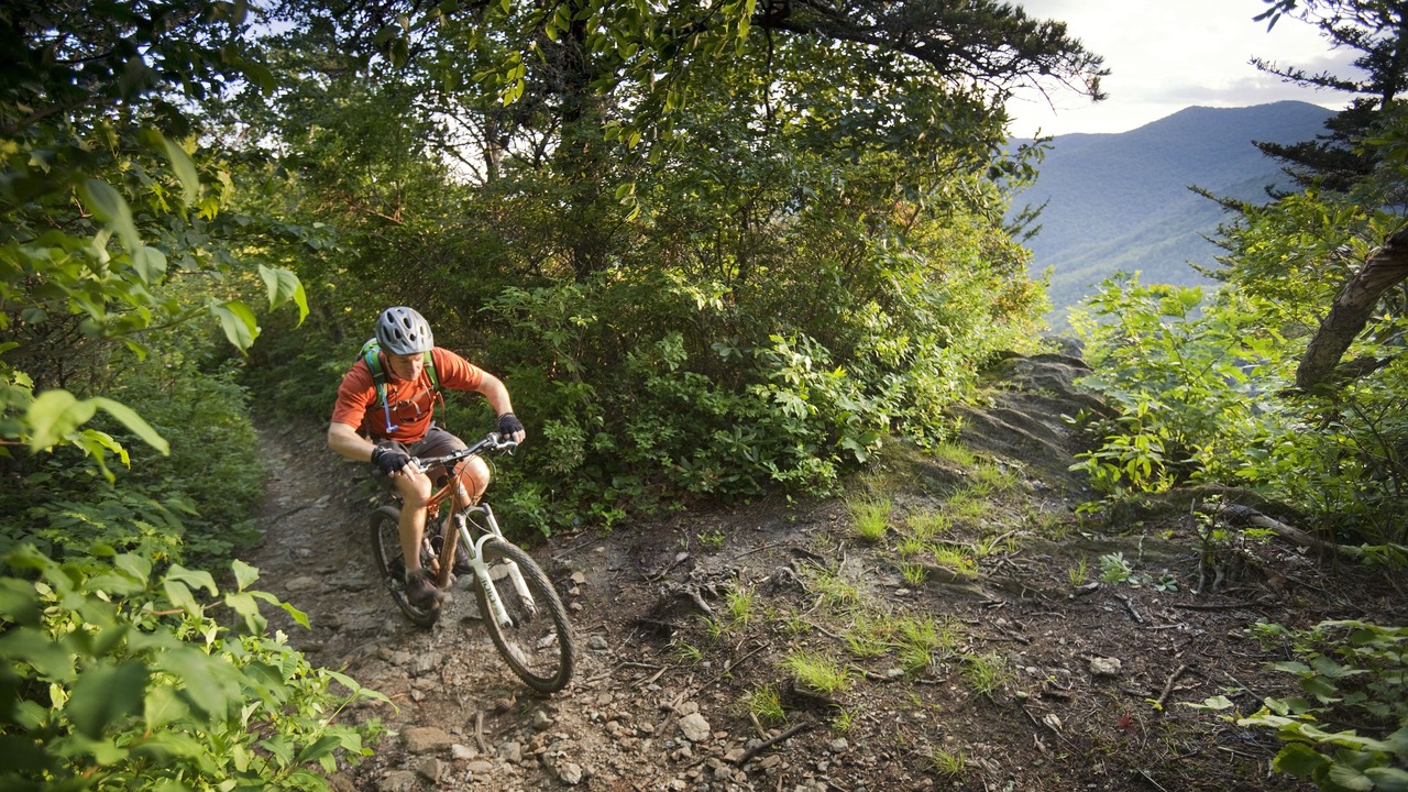 Photo of Outdoor in Sylva