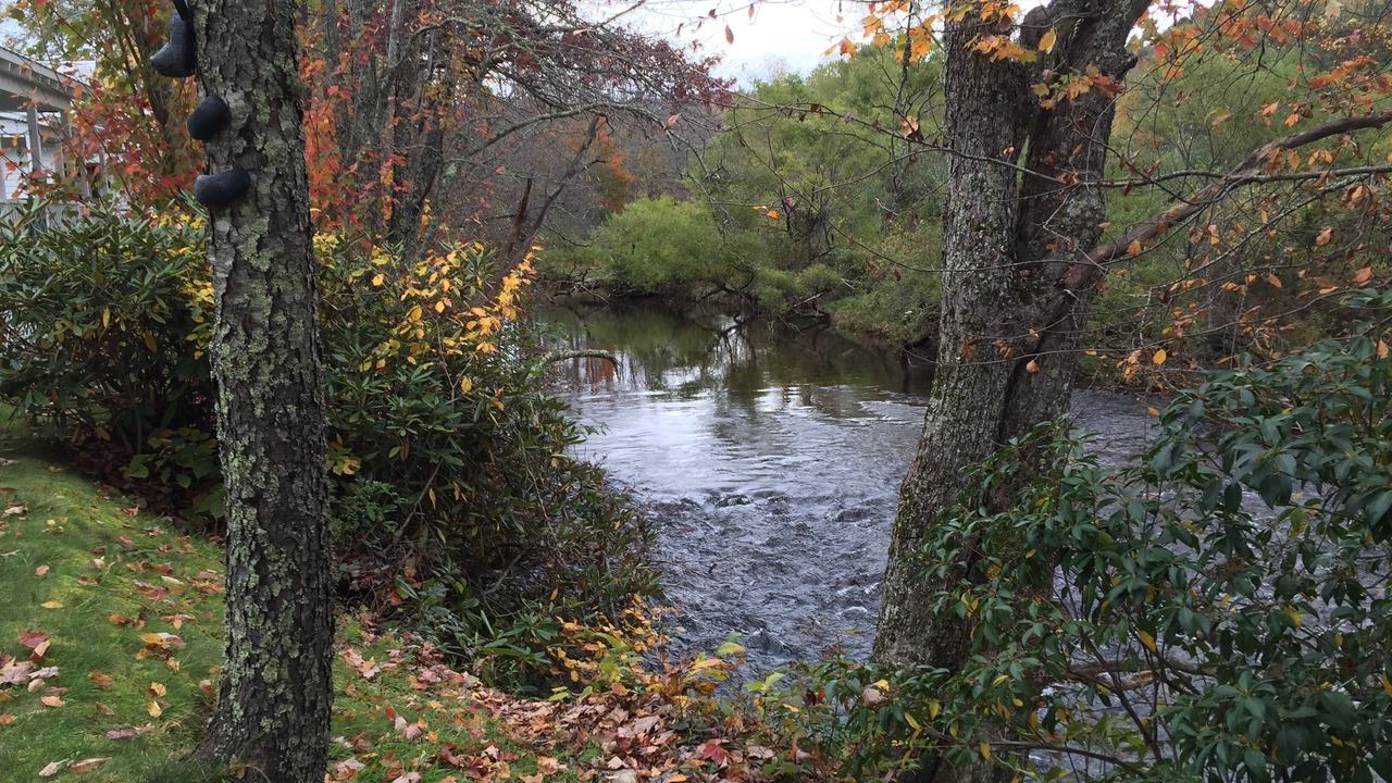 Photo of Outdoor in Altamont