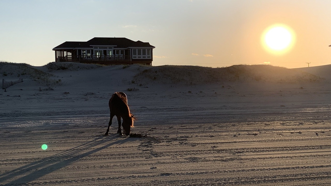 Photo of Others in Monteray Shores