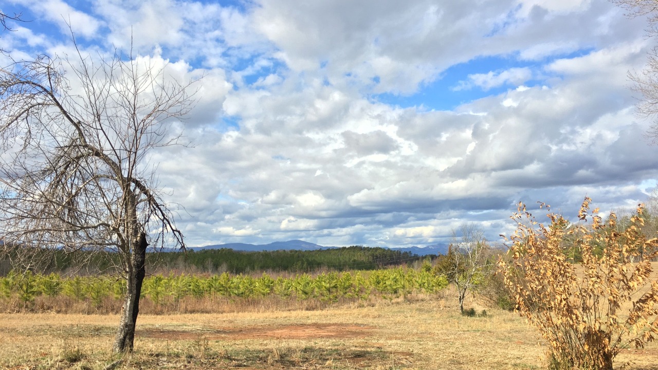 Photo of Outdoor in Tryon