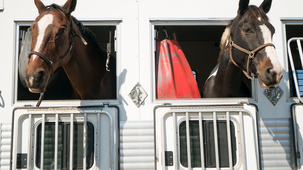 Photo of Others in Tryon