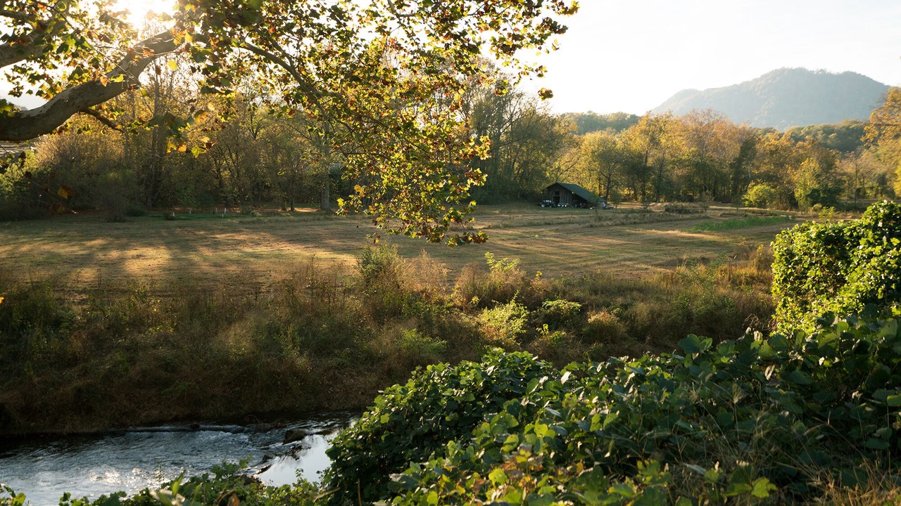 Photo of Outdoor in Tryon
