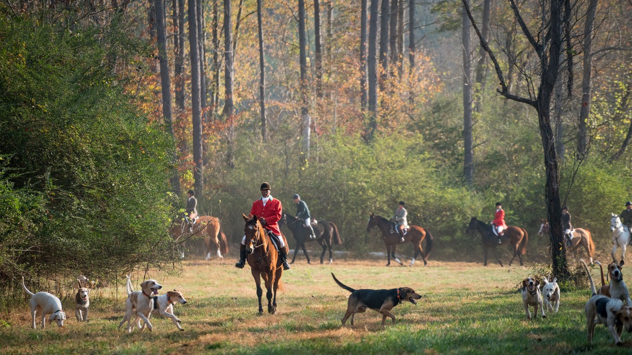 Photo of Others in Tryon