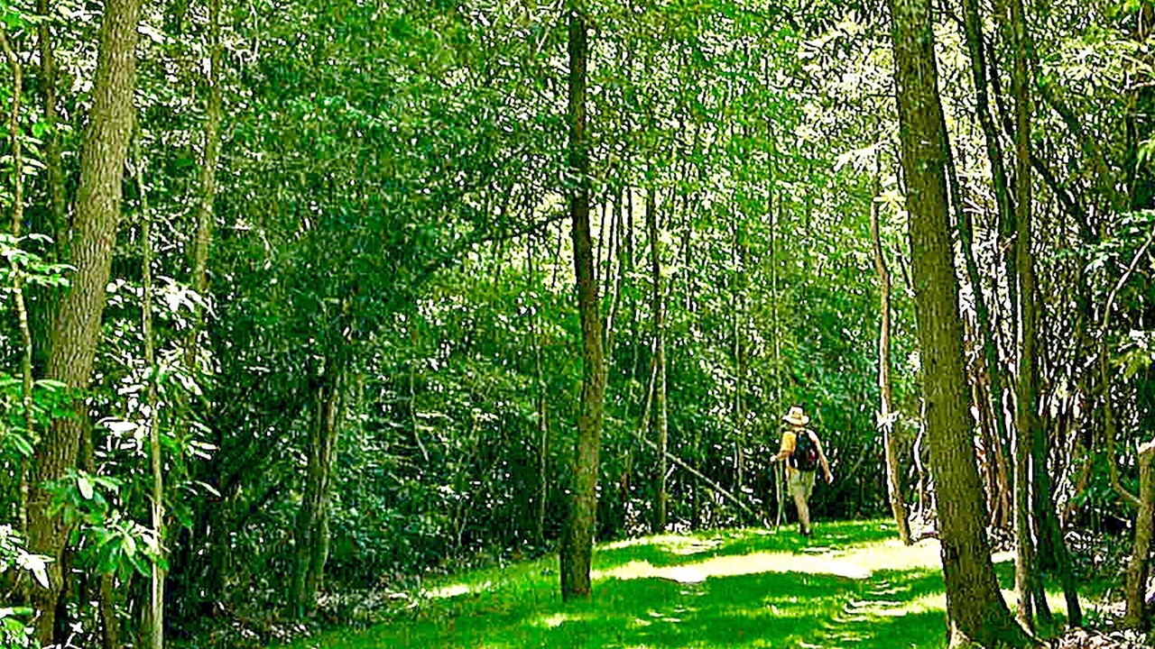 Photo of Outdoor in Topton