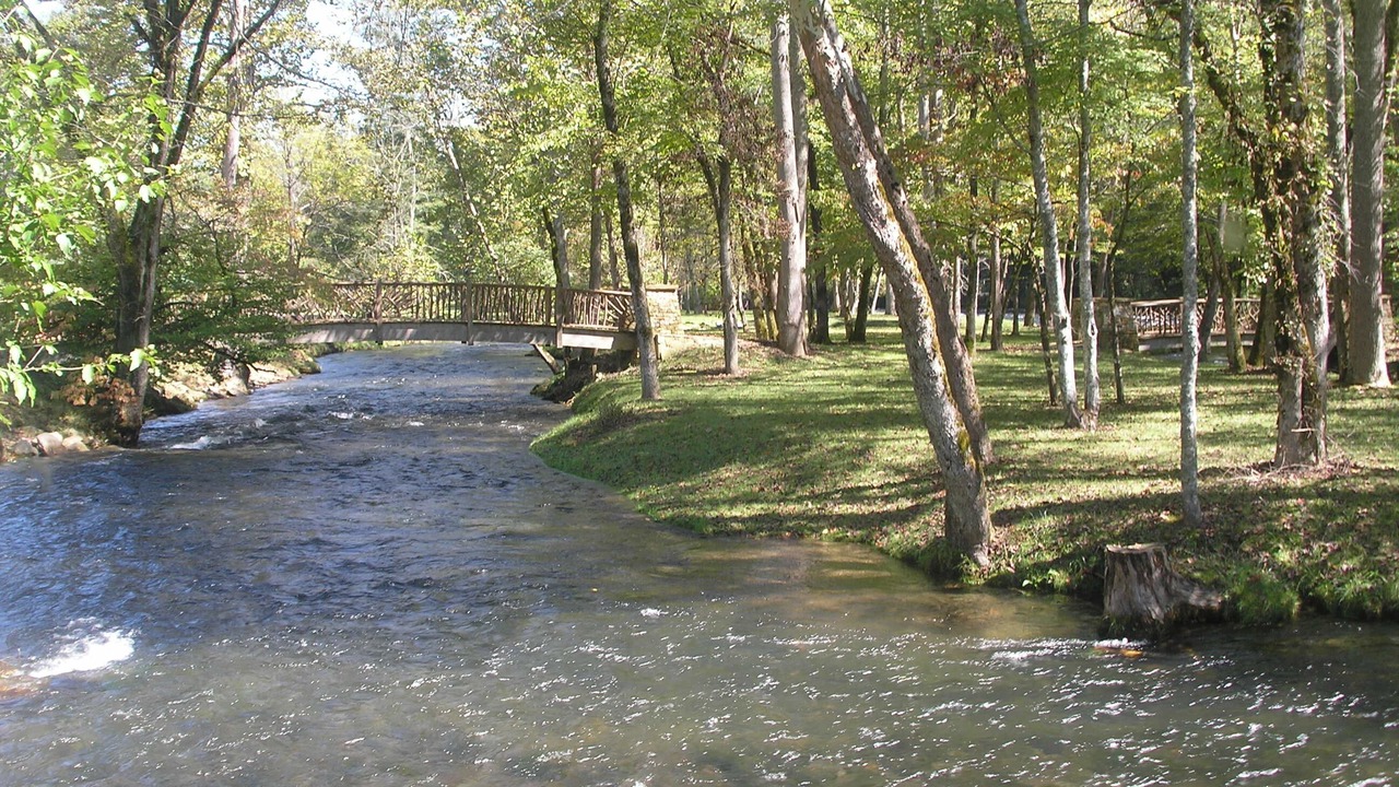 Photo of Others in Topton