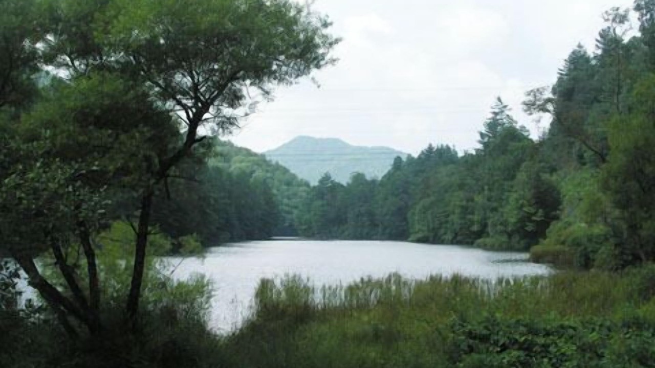 Photo of Outdoor in Topton